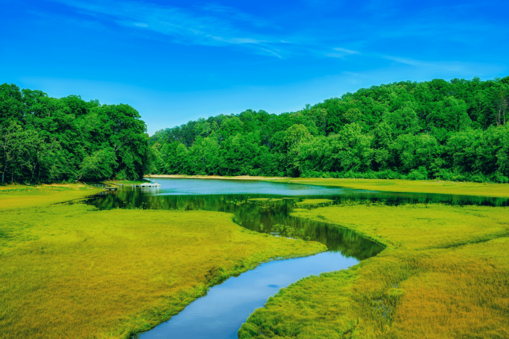 Image of a lake in Buford, Georgia.