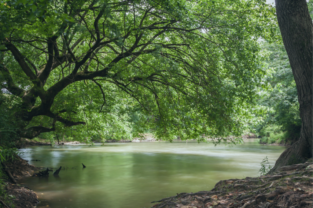 Image of Sweetwater Creek State Park in Douglasville, Georgia.