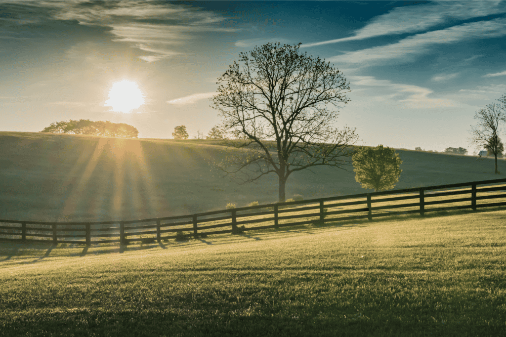 An image of a farm in London, Kentucky.