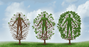 Illustration of a bare tree becoming full of leaves