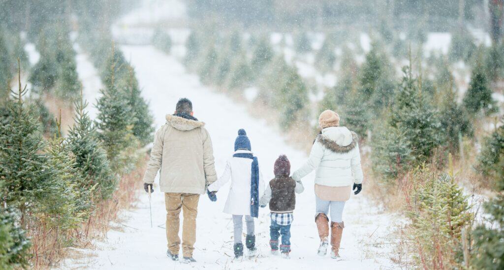 Family walks down Christmas tree farm in the snow