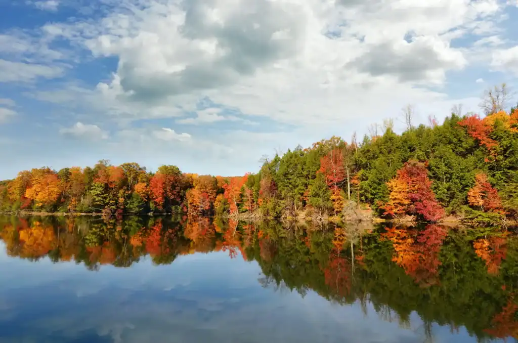 view of a lake with trees on the shore
