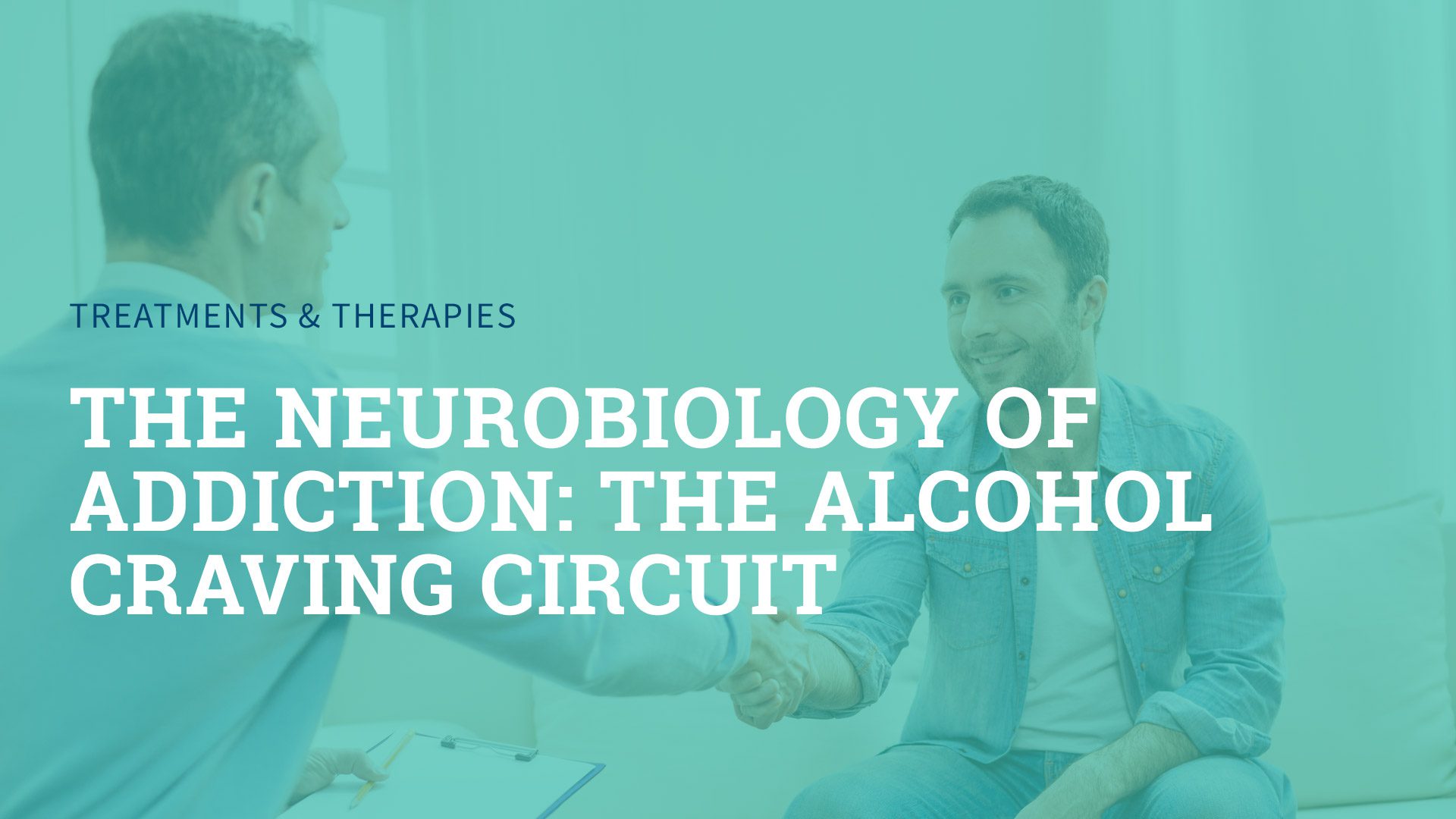 The Neurobiology of Addiction: The Alcohol Craving Circuit