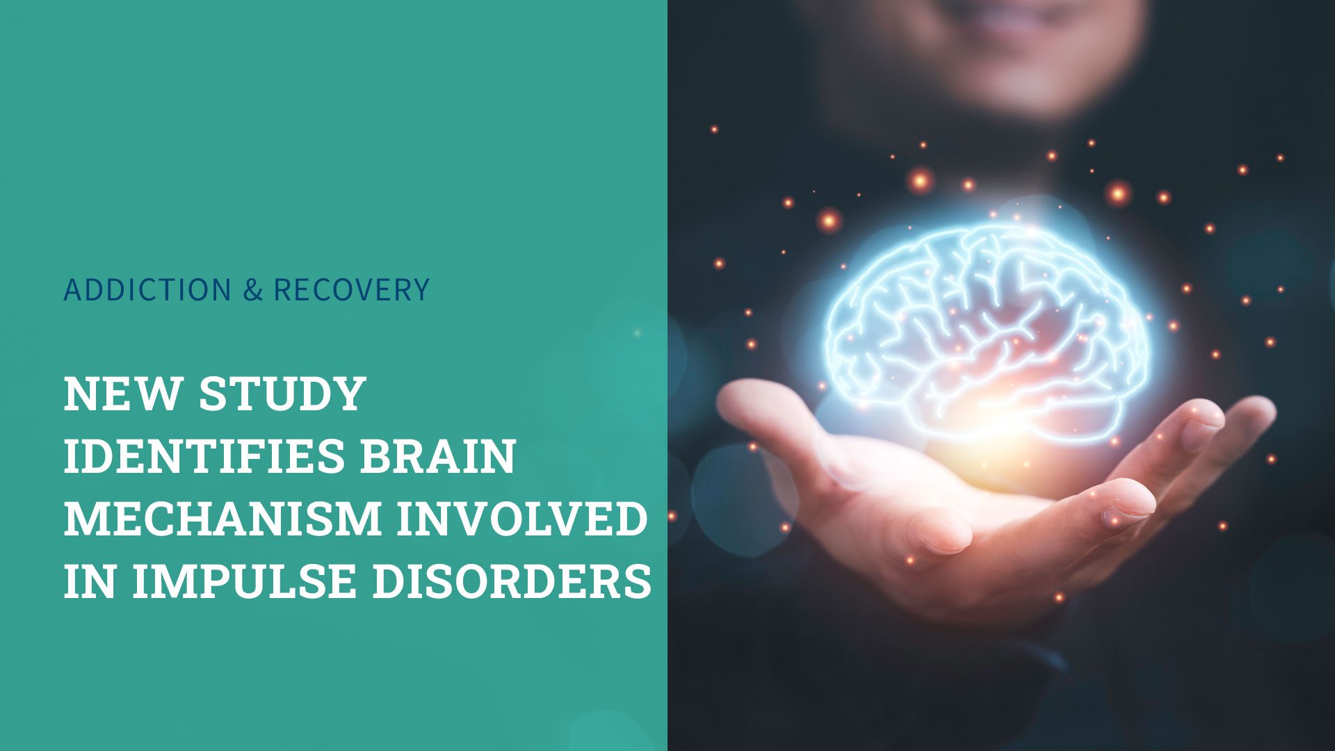 New Study Identifies Brain Mechanism Involved in Impulse Disorders